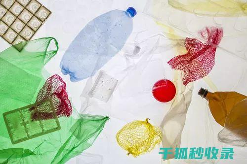 减少塑料使用：探索可持续生活的可能性 (减少塑料使用的措施)