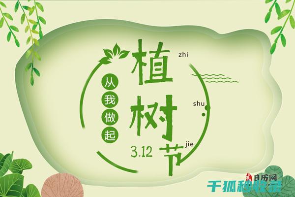 植树节用树叶树枝做1幅相框画怎么做