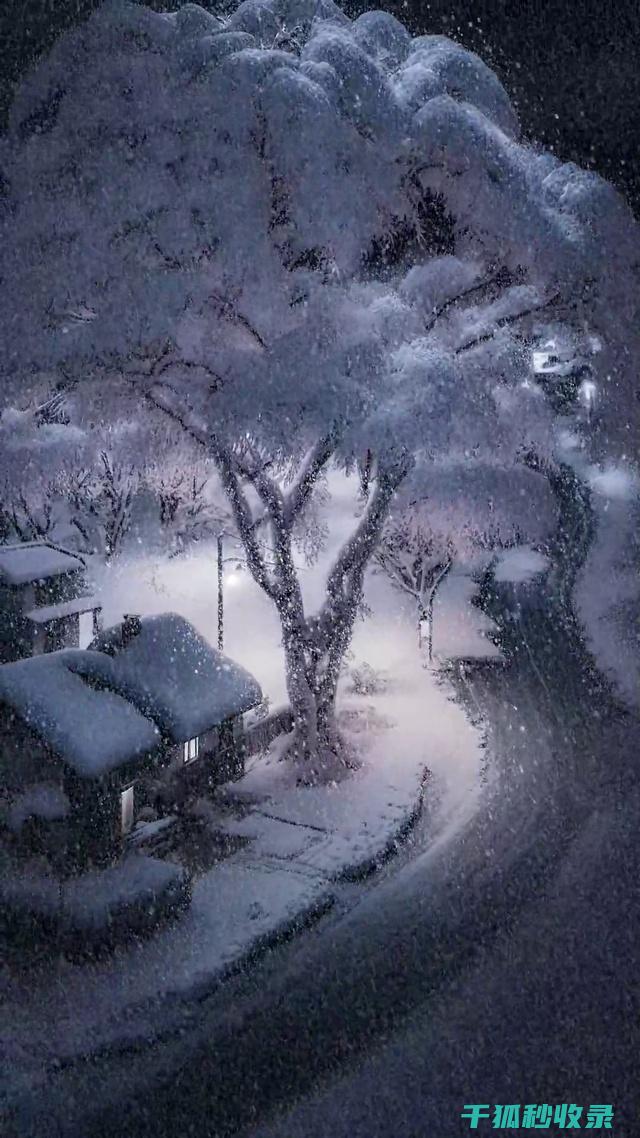 雪天防滑小窍门有哪些