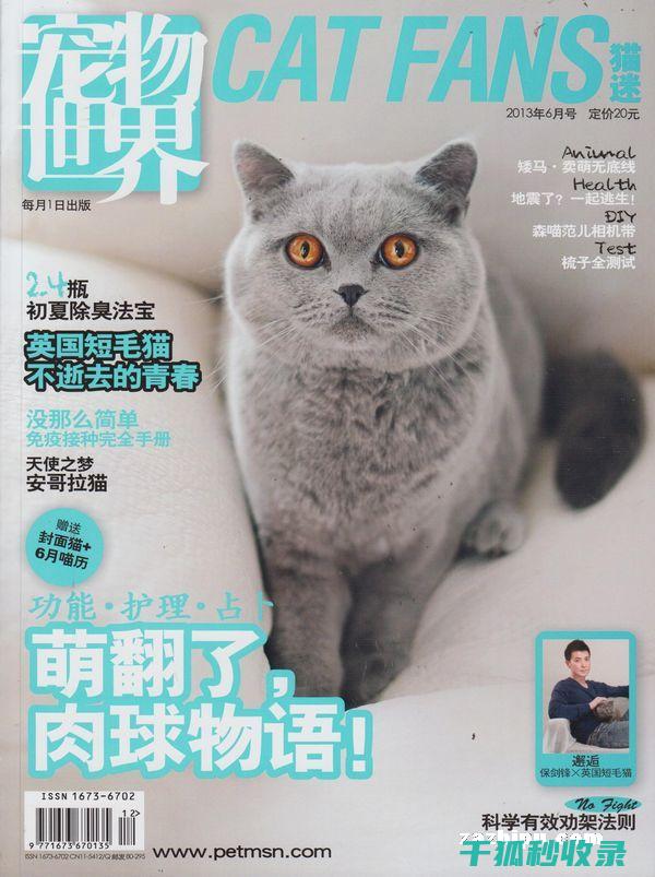 宠物驱虫周期建议