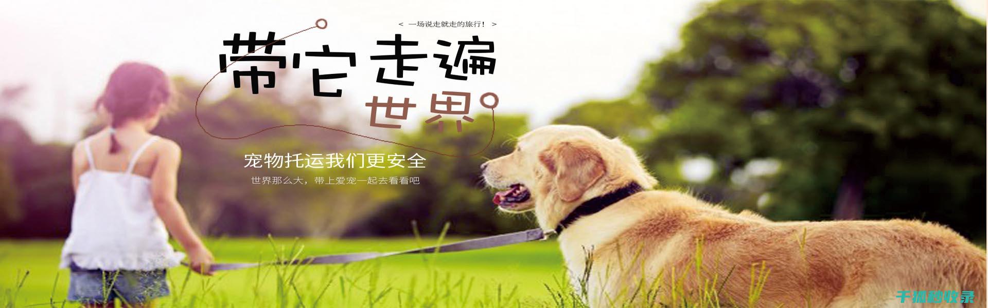 宠物驱虫周期：定期驱虫，宠物无忧 (宠物驱虫周期建议)