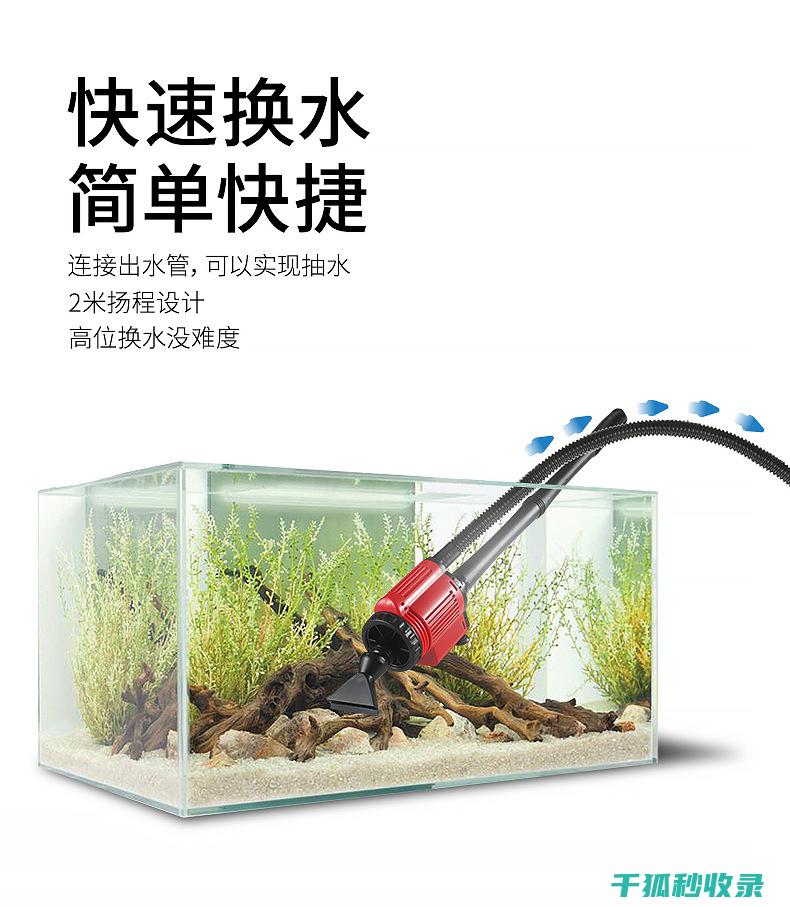 水族箱清洁技巧：如何安全移除水底杂物 (水族箱清洁技术要求)