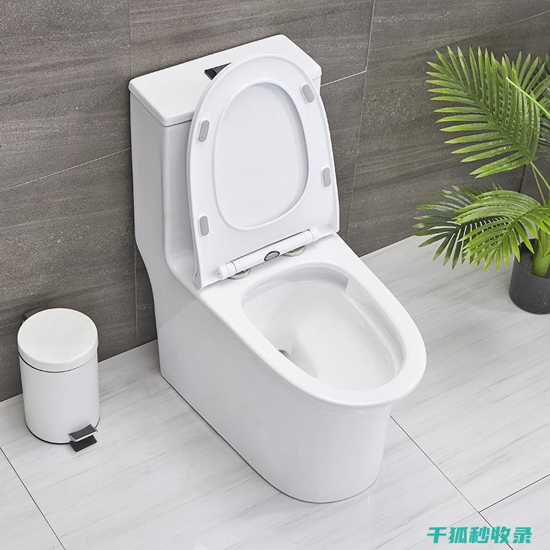 马桶清洁消毒：日常护理与深度清洁的完美结合 (马桶清洁消毒步骤)