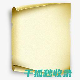 纸张的花束颜色寓意