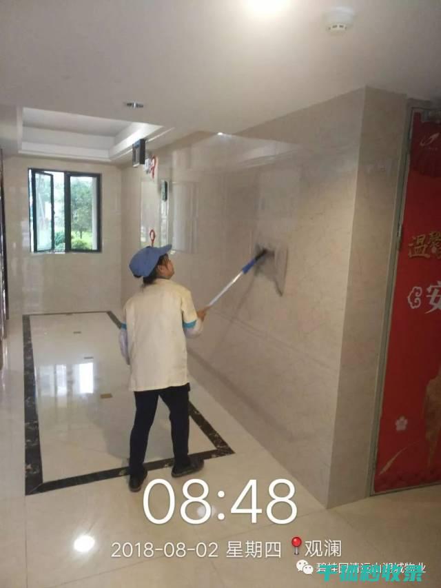 如何去除墙壁上的涂鸦：从初步清洁到长期维护 (如何去除墙壁上的霉菌)