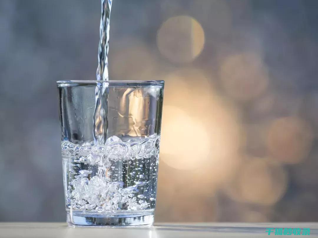 饮水机清洁与维护：你不可不知的几个要点 (饮水机清洁与维护心得体会500字)