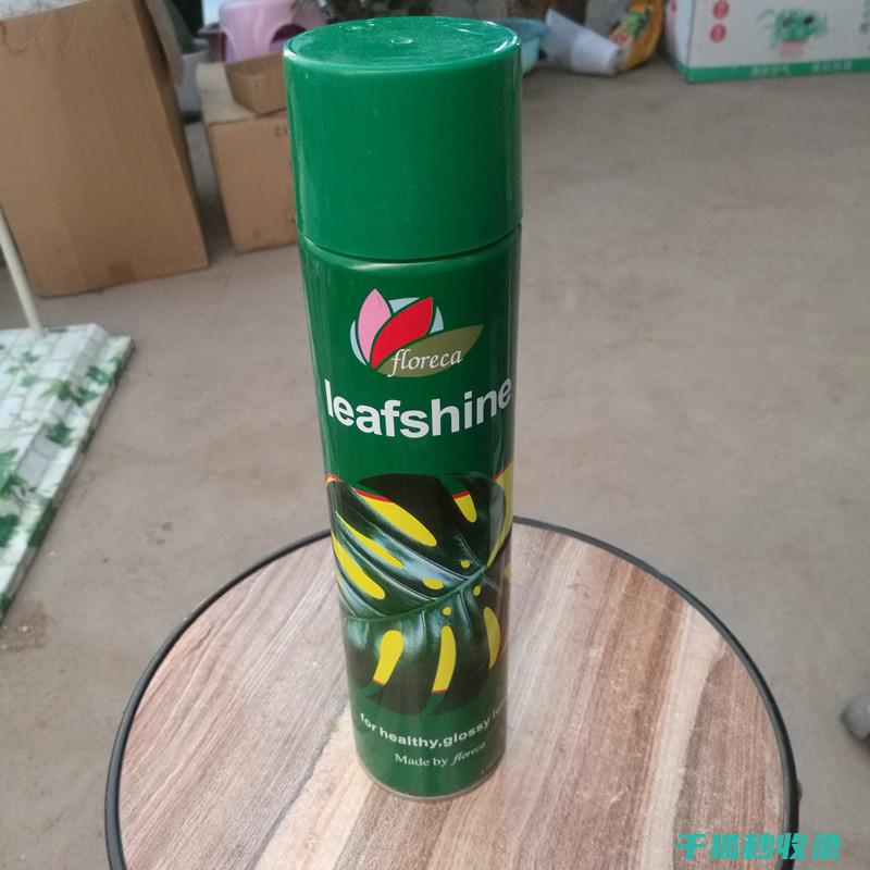 植物叶片光亮的意义：对环境和健康的双重影响 (植物叶片光亮剂配方)