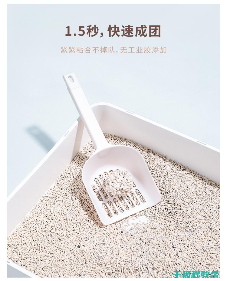 猫砂除臭新体验：不同品牌与产品的比较评测 (猫砂除臭效果)
