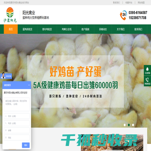 蛋鸡苗孵化厂